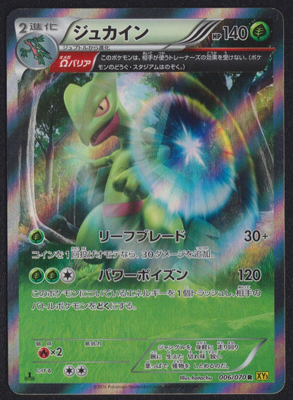 Sceptile 006/070 - POKEMON CARD JAPANESE 1st ED HOLO RARE XY5 TIDAL STORM