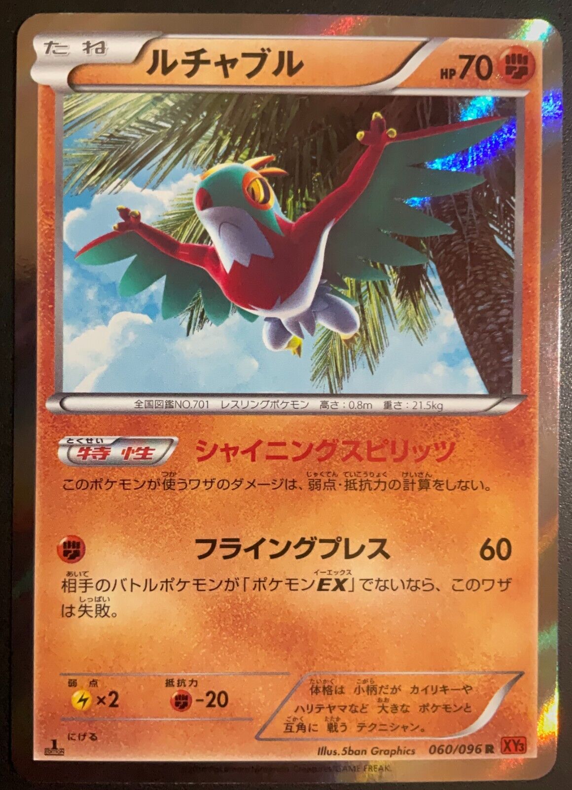 HAWLUCHA 060/096 - POKEMON CARD JAPANESE XY3 RISING FIST HOLO RARE - NM