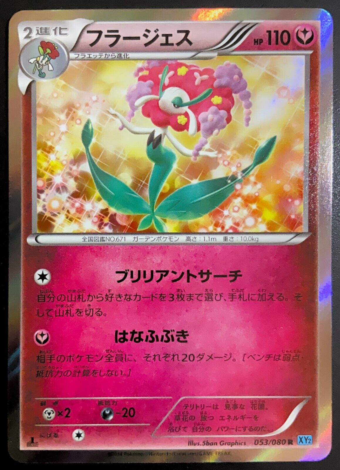 FLORGES 053/080 - POKEMON CARD JAPANESE XY2 WILD BLAZE  HOLO RARE - PLAYED/NM