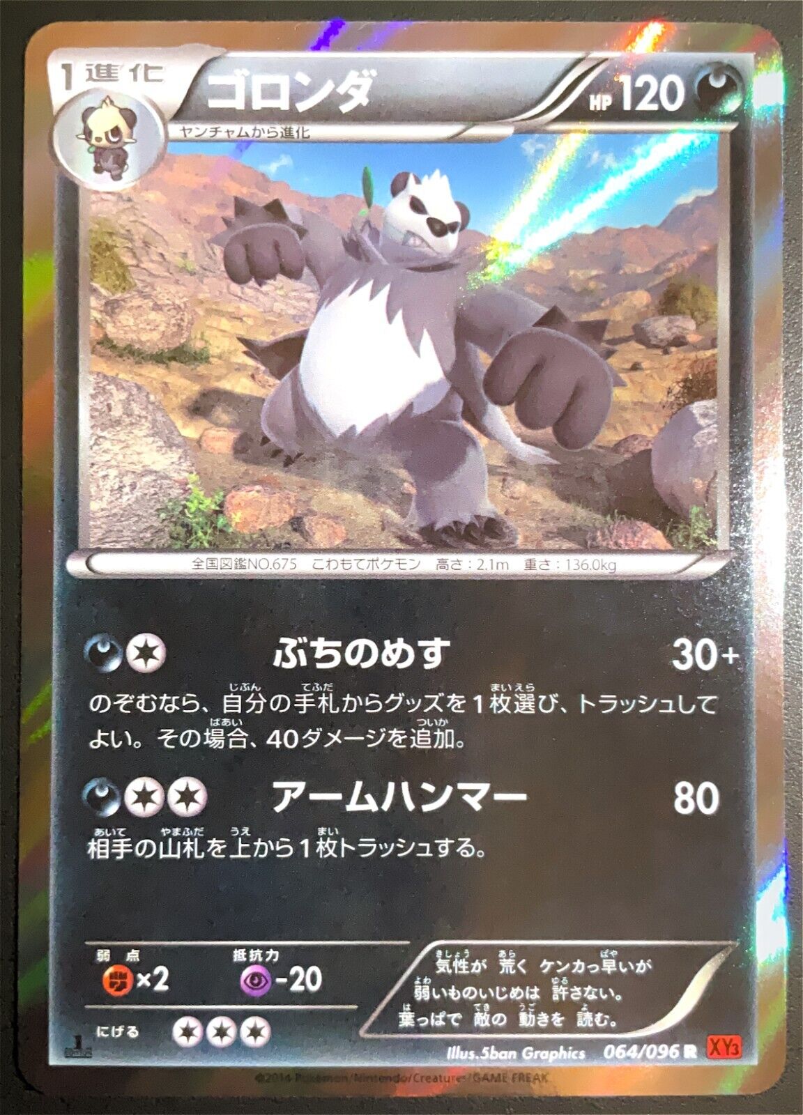 Pangoro 064/096 POKEMON CARD JAPANESE XY3 RISING FIST 1st ED HOLO RARE