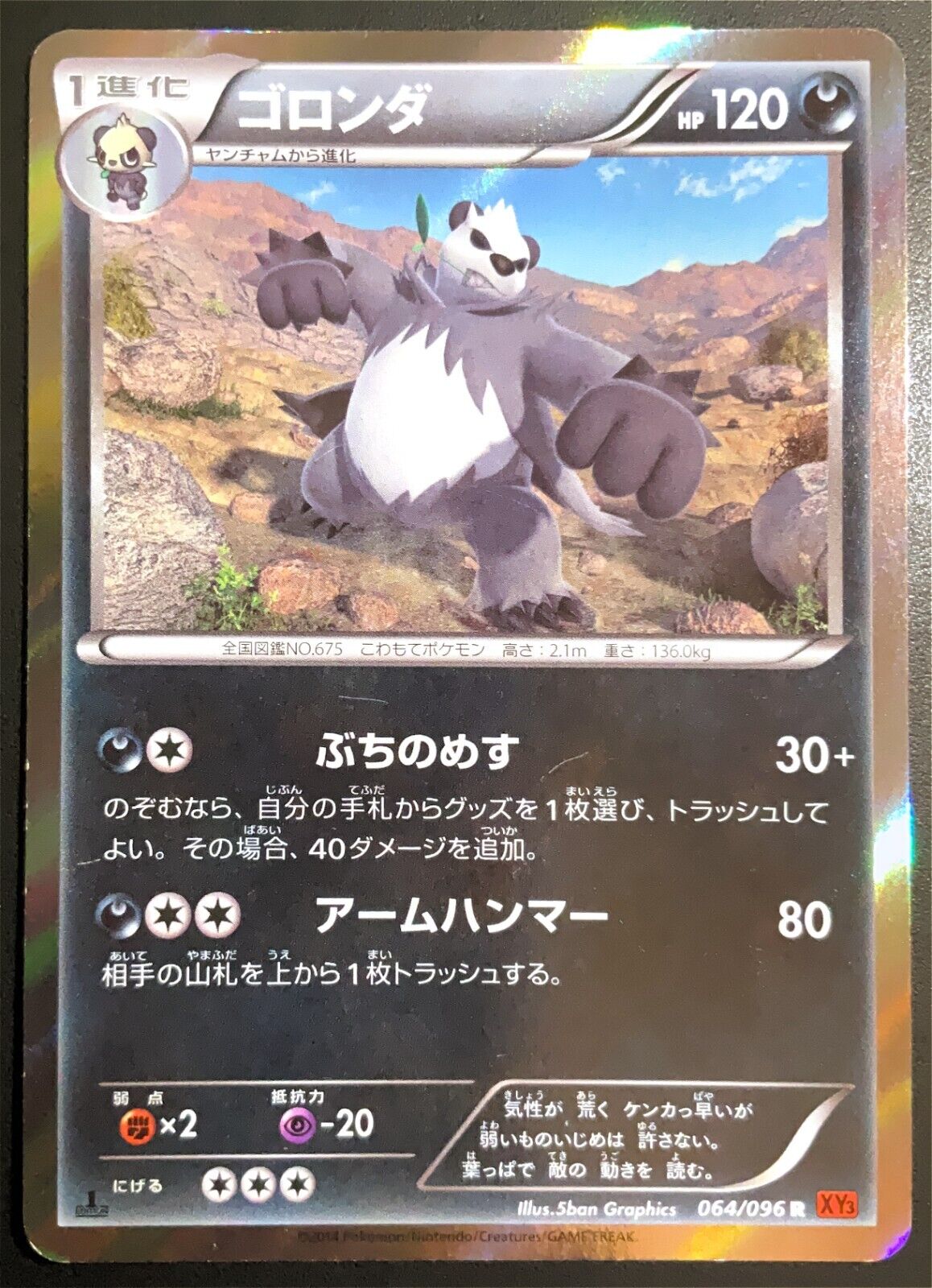 Pangoro 064/096 POKEMON CARD JAPANESE XY3 RISING FIST 1st ED HOLO RARE