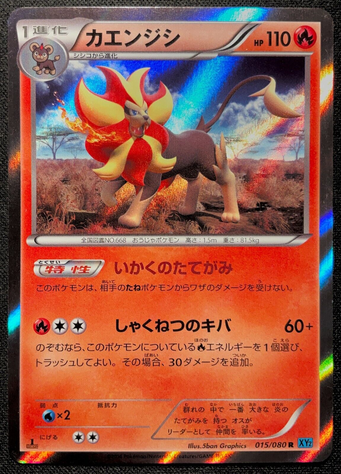 PYROAR 015/080- XY2 WILD BLAZE POKEMON JAPANESE HOLO RARE - NM