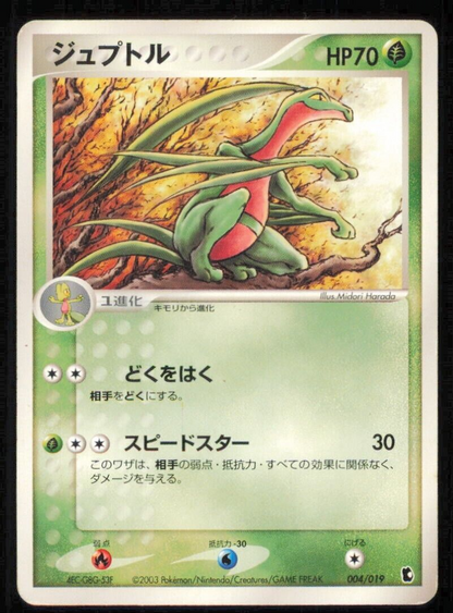 GROVYLE 004/019 POKEMON CARD JAPANESE RUBY SAPPHIRE TEECKO DECK PLAYED 